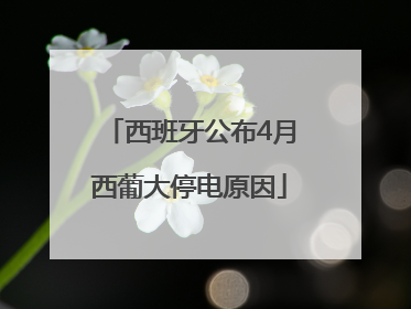 西班牙公布4月西葡大停电原因