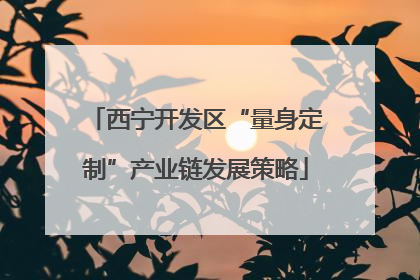 西宁开发区“量身定制”产业链发展策略