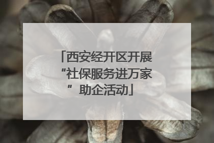 西安经开区开展“社保服务进万家”助企活动