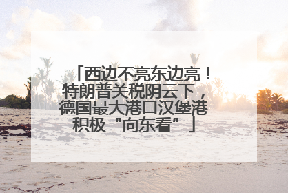 西边不亮东边亮！特朗普关税阴云下，德国最大港口汉堡港积极“向东看”