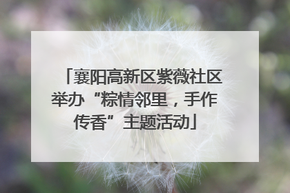 襄阳高新区紫薇社区举办“粽情邻里，手作传香”主题活动