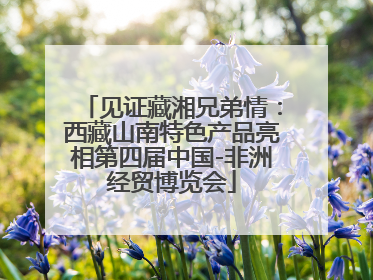 见证藏湘兄弟情：西藏山南特色产品亮相第四届中国-非洲经贸博览会