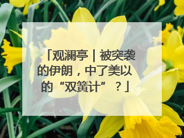 观澜亭｜被突袭的伊朗，中了美以的“双簧计”？