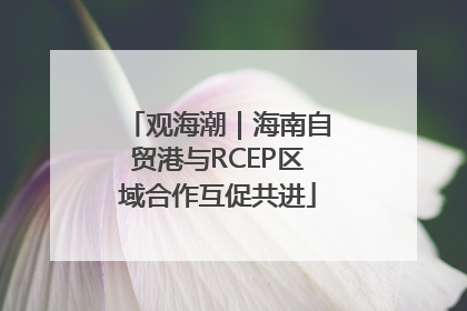 观海潮｜海南自贸港与RCEP区域合作互促共进