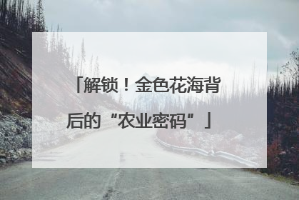 解锁！金色花海背后的“农业密码”