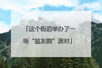 这个街道举办了一场“盆友圈”派对