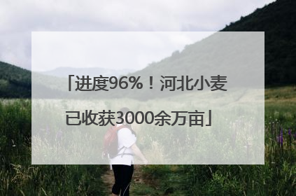进度96%！河北小麦已收获3000余万亩