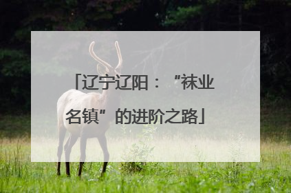 辽宁辽阳：“袜业名镇”的进阶之路