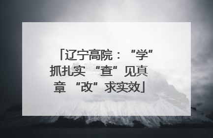 辽宁高院：“学”抓扎实 “查”见真章 “改”求实效