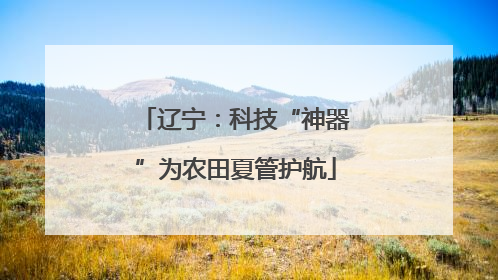 辽宁：科技“神器”为农田夏管护航