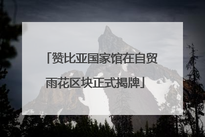 赞比亚国家馆在自贸雨花区块正式揭牌