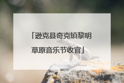 逊克县奇克镇黎明草原音乐节收官