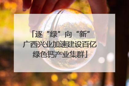 逐“绿”向“新” 广西兴业加速建设百亿绿色钙产业集群