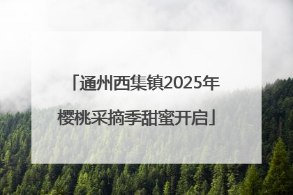通州西集镇2025年樱桃采摘季甜蜜开启