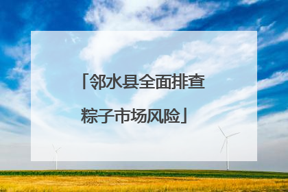 邻水县全面排查粽子市场风险