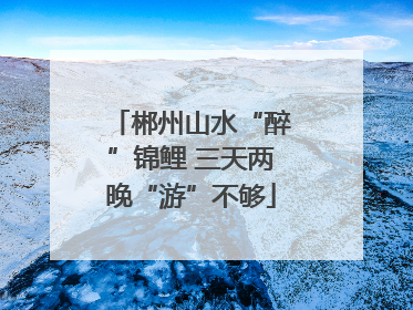 郴州山水“醉”锦鲤 三天两晚“游”不够