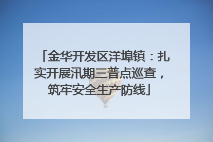 金华开发区洋埠镇：扎实开展汛期三普点巡查，筑牢安全生产防线