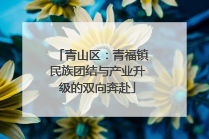 青山区：青福镇民族团结与产业升级的双向奔赴