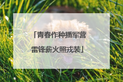 青春作种播军营 雷锋薪火照戎装
