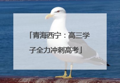 青海西宁：高三学子全力冲刺高考