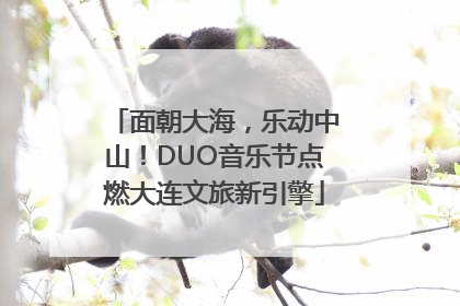 面朝大海，乐动中山！DUO音乐节点燃大连文旅新引擎