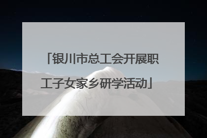 银川市总工会开展职工子女家乡研学活动