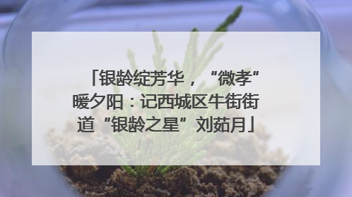 银龄绽芳华，“微孝”暖夕阳：记西城区牛街街道“银龄之星”刘茹月