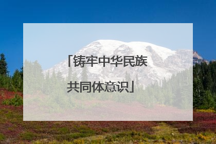 铸牢中华民族共同体意识