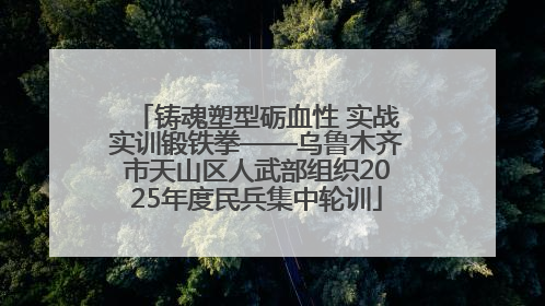 铸魂塑型砺血性 实战实训锻铁拳——乌鲁木齐市天山区人武部组织2025年度民兵集中轮训