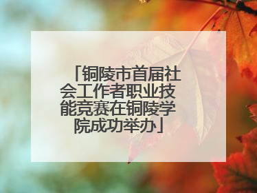 铜陵市首届社会工作者职业技能竞赛在铜陵学院成功举办