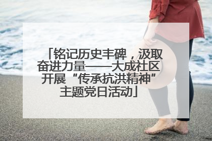 铭记历史丰碑，汲取奋进力量——大成社区开展“传承抗洪精神”主题党日活动