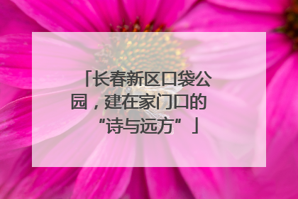 长春新区口袋公园，建在家门口的“诗与远方”