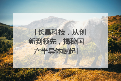 长晶科技，从创新到领先，揭秘国产半导体崛起