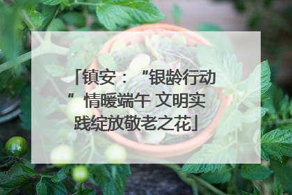 镇安：“银龄行动”情暖端午 文明实践绽放敬老之花