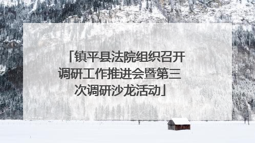 镇平县法院组织召开调研工作推进会暨第三次调研沙龙活动