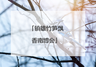 镇雄竹笋飘香南博会