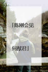 陈刚会见何猷君