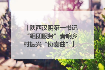 陕西汉阴第一书记“组团服务”奏响乡村振兴“协奏曲”