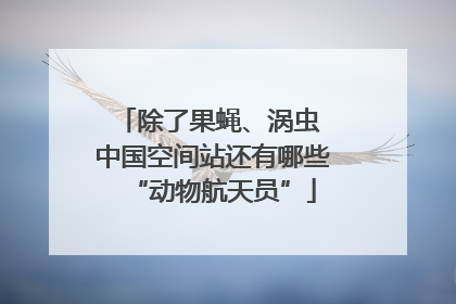 除了果蝇、涡虫 中国空间站还有哪些“动物航天员”