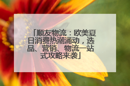 顺友物流：欧美夏日消费热潮涌动，选品、营销、物流一站式攻略来袭