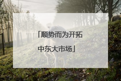 顺势而为开拓中东大市场