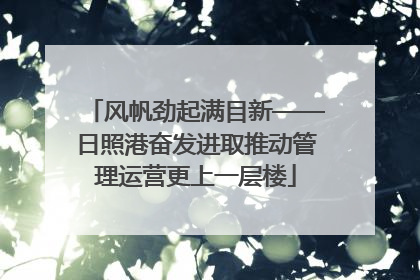 风帆劲起满目新——日照港奋发进取推动管理运营更上一层楼