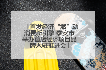 首发经济“燃”动消费新引擎 泰安市举办首店经济项目品牌入驻推进会