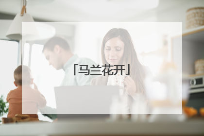马兰花开