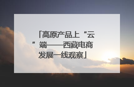 高原产品上“云”端——西藏电商发展一线观察