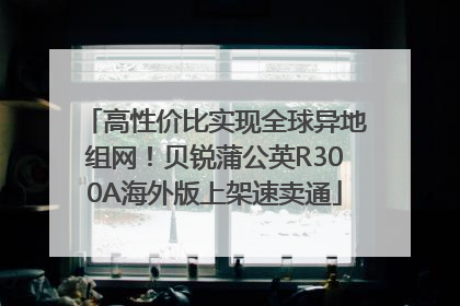 高性价比实现全球异地组网！贝锐蒲公英R300A海外版上架速卖通