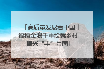 高质量发展看中国丨福稻金浪千重绘就乡村振兴“丰”景图