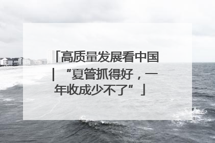 高质量发展看中国｜“夏管抓得好，一年收成少不了”