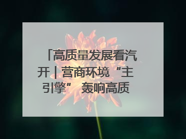高质量发展看汽开｜营商环境“主引擎” 轰响高质量发展新赛道