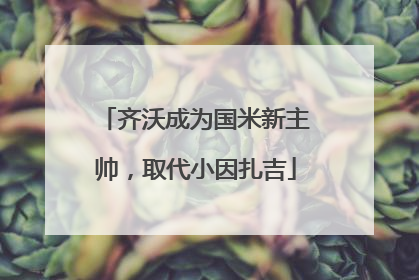 齐沃成为国米新主帅，取代小因扎吉